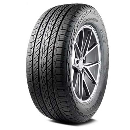 MAJORIS R1