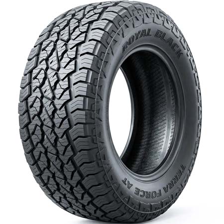 TERRAFORCE AT
